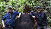My dad and I at Muir Woods National Monument in Marin County, CA - the day after the Detroit Tigers lost in Game 6 of the 201A American League Championship Series.